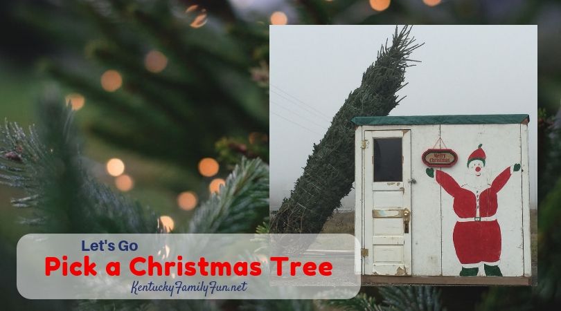 photo Lets Go Pick a Christmas Tree 1_zpswcsqjkmp.jpg