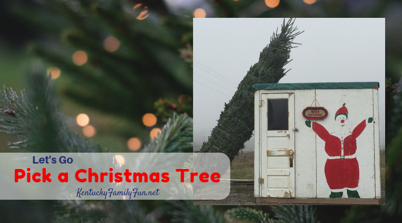 Christmas tree farms in Kentucky 