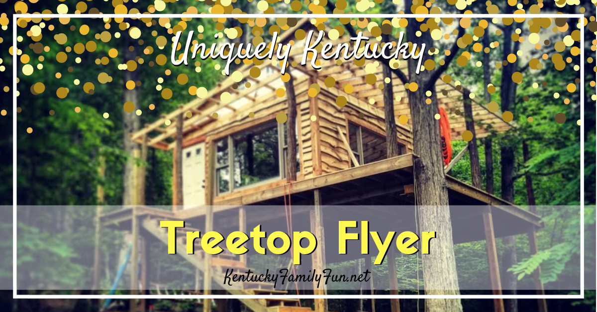  photo Uniquely Kentucky_ Treetop Flyer copy_zps7akzxvbd.png
