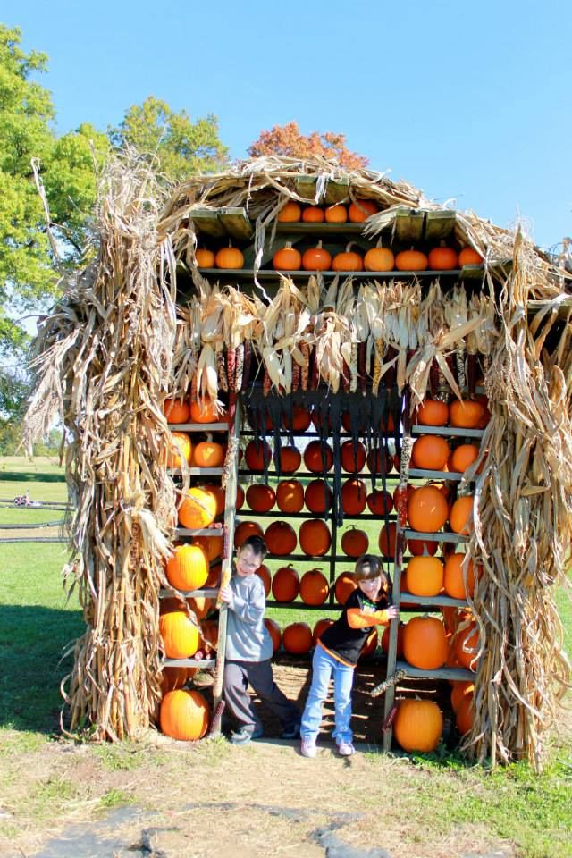 Pumpkin Patch Adults
 Pumpkin Patches in Kentucky