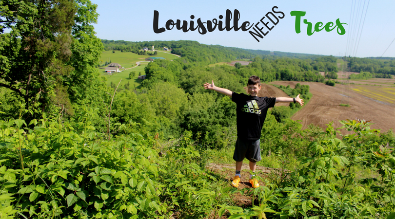  photo Louisville needs trees_zpsgekqwxpo.png