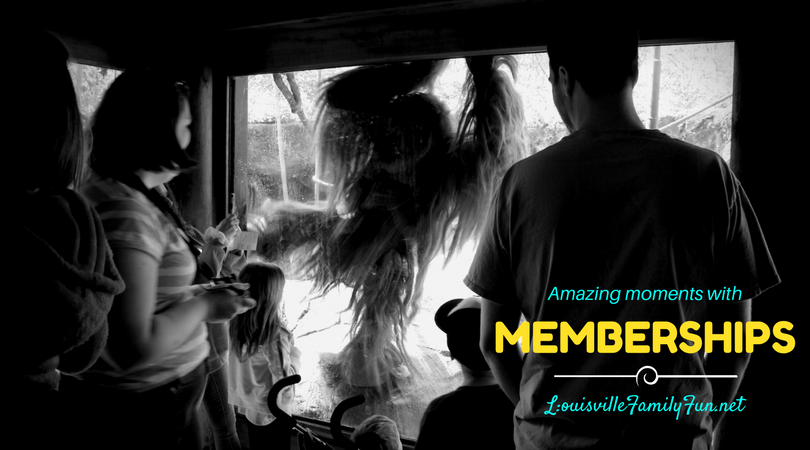  photo memberships LFF_zpsuduyiwt6.png