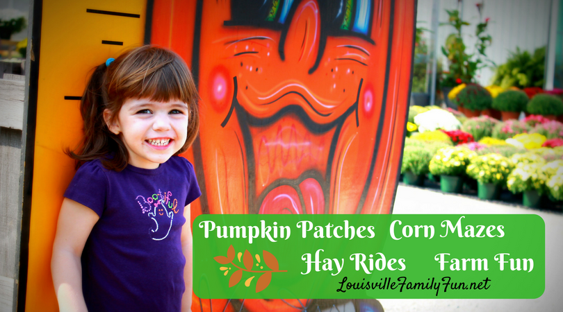 pumpkin patches corn mazes
